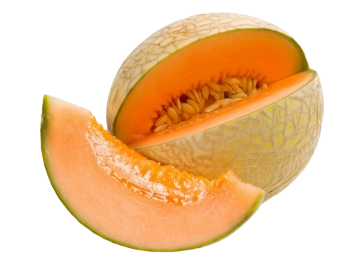 Muskmelon / Kharbooja (Tonk)