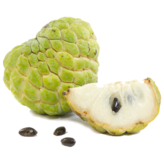 Sitafal /Custard Apple (Udaipur)