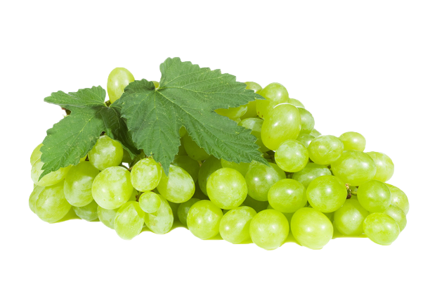 Grapes Green /Angoor Hara (Nashik)