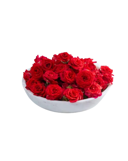 Rose Flower / Gulab Ka Phool