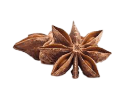 Star Anise / Chakra Phool