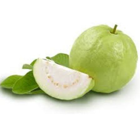 White Guava/Saphed Amarood(Ratlam)