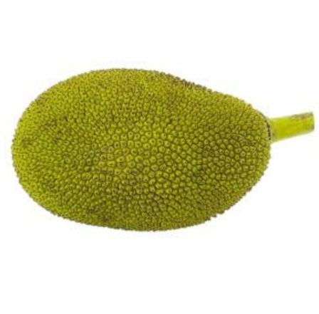 Jackfruit /  Katahal